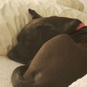 Meet your Posher, Cynthia